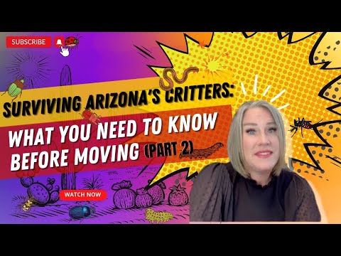 Are There Deadly Rattlesnakes In Arizona?