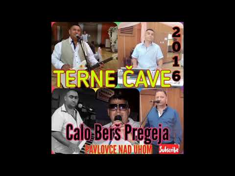 PAVLOVCE TERNE CAVE 57 - CALO BERS PREGEJA   2016