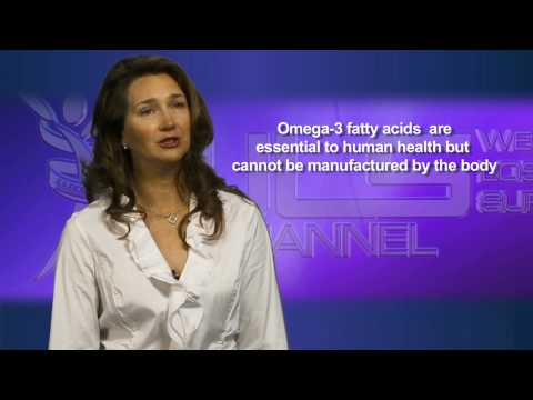 WLS News February 27, 2009 | Part 1