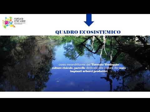 API 49 Pieve Albignola – Zinasco – Mezzana Rabattone – Sommo