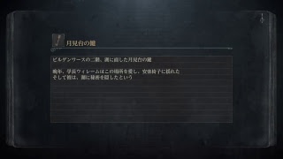 ブラボイベント参加【Bloodborne】