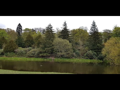 Canal Trip - Altofts to Woodlesford