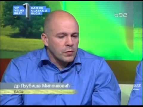 BASF vremenska prognoza za 24.03.2013.