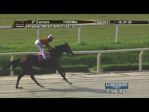 210411 c02 PILAR POSSE