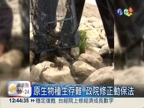 放生動物未經核准 至少罰5萬!