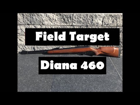 Diana 460 Magnum Präzisions Luftgewehr Review und Schusstest