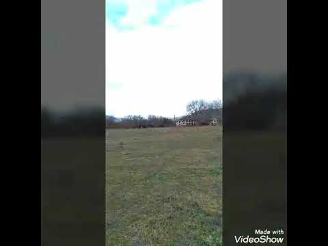 Eflatun qubadov ana gedək zəngilana🇦🇿🇹🇷