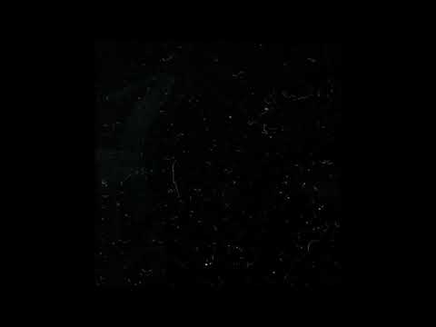 28. The Virus and Antidote - Don'tSpoilThisForMe [28.04.2017]