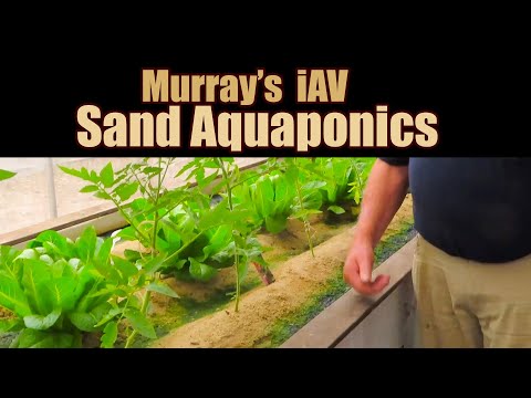 Murray's iAV Sand Aquaponics System