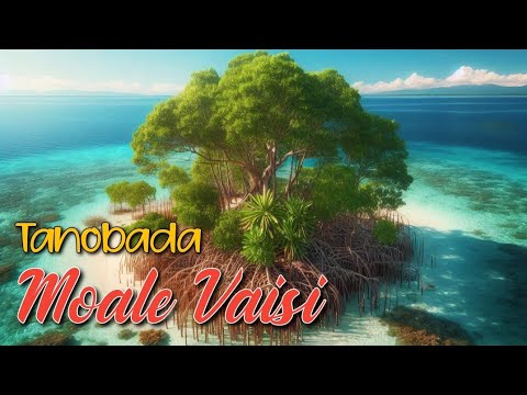 Moale Vaisi - Tanobada