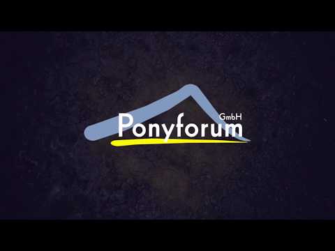 11j. Wallach v. Mellimaras Nugget – Anydale Ron