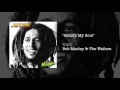 Satisfy My Soul (1978) - Bob Marley & The Wailers