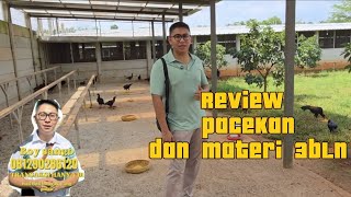 Download lagu REVIEW PACEKAN DAN ANAKAN 3 BULAN mp3