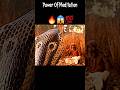 Power Of Meditation ‍ ️ Gautam Buddha Status Shorts Ytshorts Short Trending