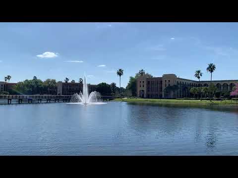 10 Minutes of Disney Magic - Coronado Springs & Gran Destino relaxing fountain ambience