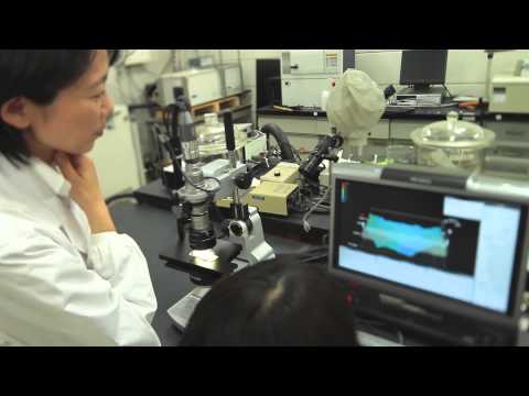海洋電子機械工学科 東京海洋大学Scientist Profile 福岡 美香