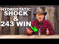 Eps 347: 243 Win and Hydrostatic Shock