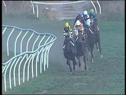 Galoppo 23/12/2015 - 2° corsa