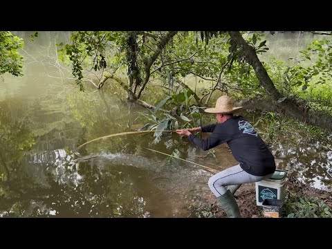 Estava arrastando até o caniço, tinha que ser rápido, pescaria na represa com muito peixe!!!