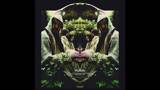 Midlake - Children of the Grounds