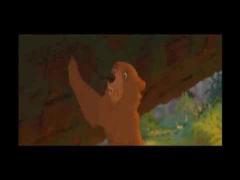 Bear at a Funeral (Death at a Funeral) Trailer