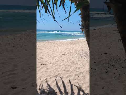 #srilanka #beach #beachlife #beachvibes #beaches #oceanwaves #oceanview #travel #travelling