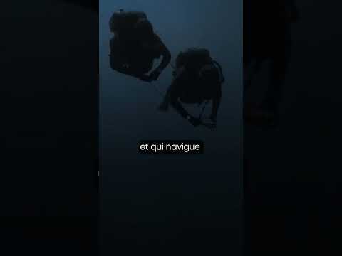 Nageur de Combat au Commando Hubert. C'est quoi ?