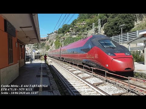 NTV 8111 TORINO PORTA NUOVA - REGGIO CALABRIA CENTRALE