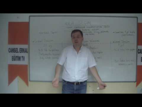 19) Vatandaşlık, TBMM Seçimleri, Genel Seçim, Erken Genel Seçim, Ara Seçim, Yüksek Seçim Kurulu,