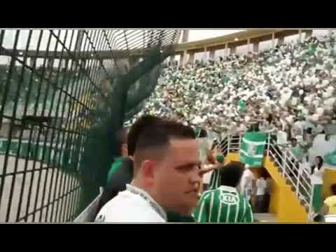 Mancha Verde,  Melhores momentos!