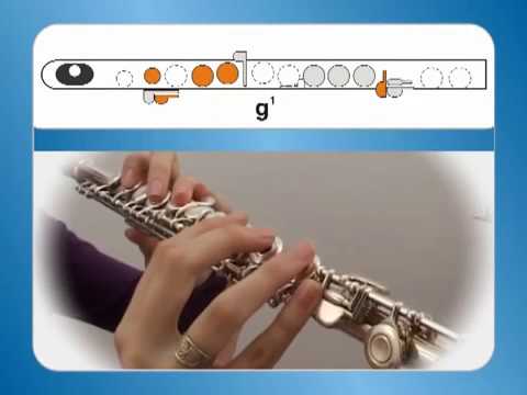 Querflöte Querfloete Flöte lernen, Lektionen