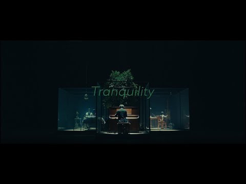 SawanoHiroyuki[nZk]:Anly『Tranquility』Music Video YouTube EDIT Video