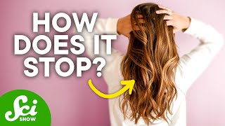 How Does Hair Know When to Stop Growing?
