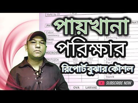 How to understand stool report||stool test reme|stool re