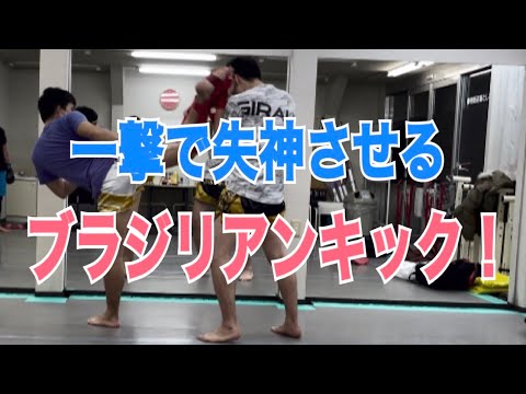 相手を一撃で失神させる”ブラジリアン・ハイキック”の蹴り方！