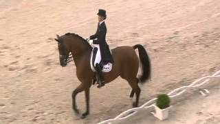 La France, partenaire du CHIO d'Aix la Chapelle