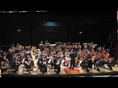 TCHAIKOVSKY SUITE O LAGO DOS CISNES OSES 280219   DANÇA DOS CISNES