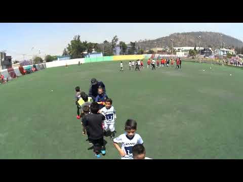 REACTIVE FA VS PUMAS ORO 2DO TIEMPO  FINAL