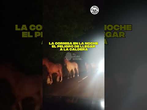 🚨EL PELIGRO DE LLEGAR A LA CALDERA#Salta #LaCaldera #Tránsito #LaCornisa