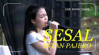 Download lagu SESAL - INTAN PAJERO - OM AMBARISTA mp3 Download lagu SESAL - INTAN PAJERO - OM AMBARISTA mp3