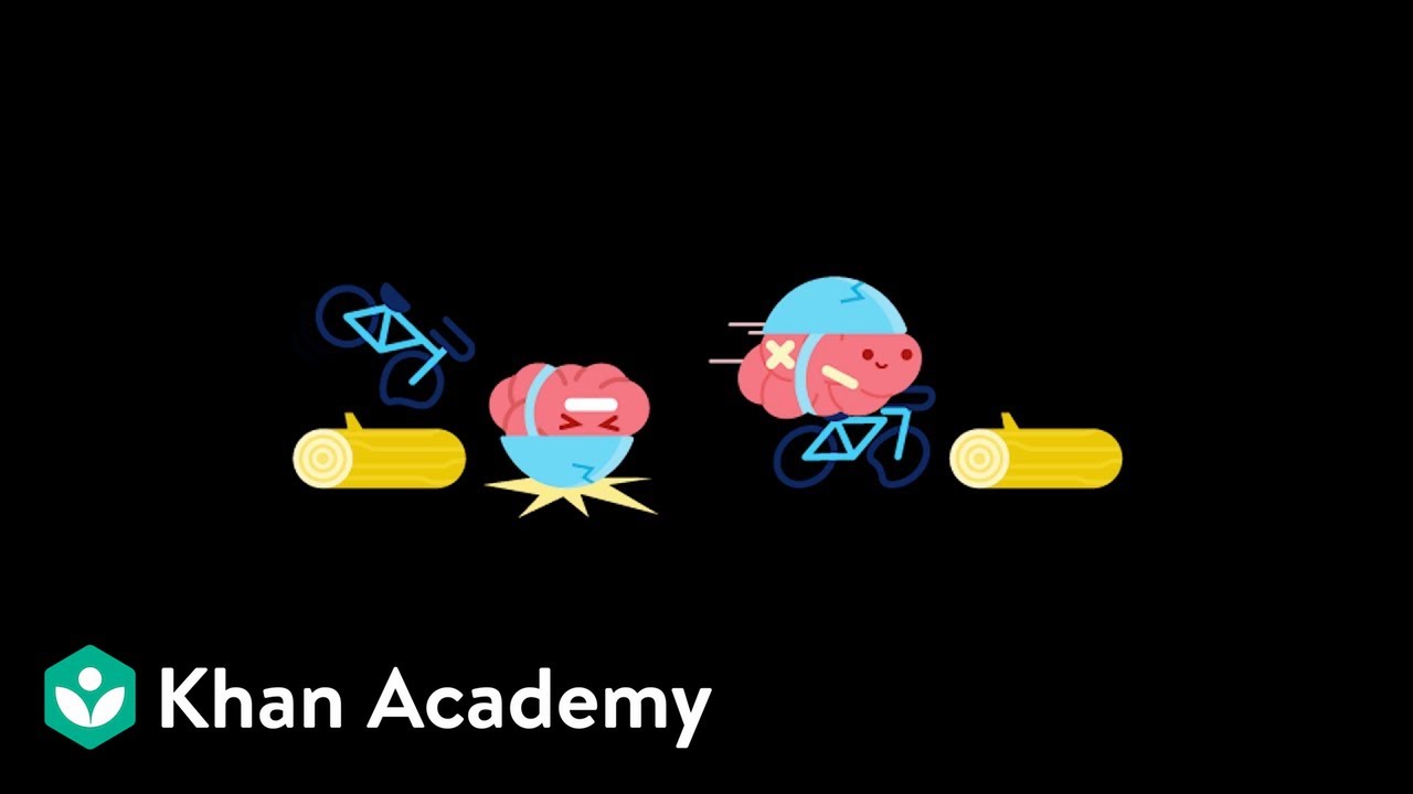 LearnStorm Growth Mindset: The Truth About Your Brain