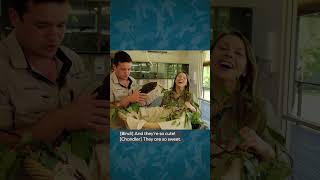 Meet our noisiest patients 🦜 | Bindi Irwin & Chandler visit Australia Zoo Wildlife Hospital patients