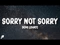 Demi Lovato Sorry Not Sorry Lyrics