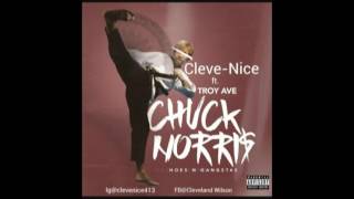 Cleve-Nice ft. Troy Ave-Chuck Norris