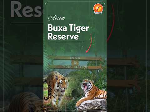 About BUXA TIGER RESERVE #vajiramandravi