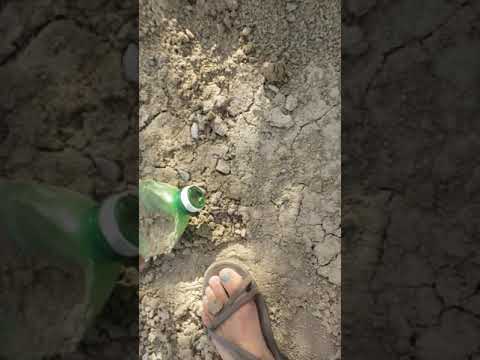 Notice soil horizons