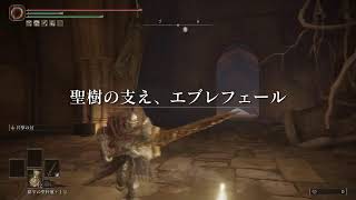 マレニア初見