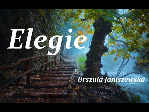 Elegie - Urszula Janiszewska