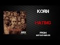 Korn - Hating [Lyrics Video]