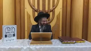 לתת בר"ה לגוי לאכול, טלטול קליפות וכדומה בר"ה שחל בשבת, ברית שלום הרצליה יט אלול תשפ